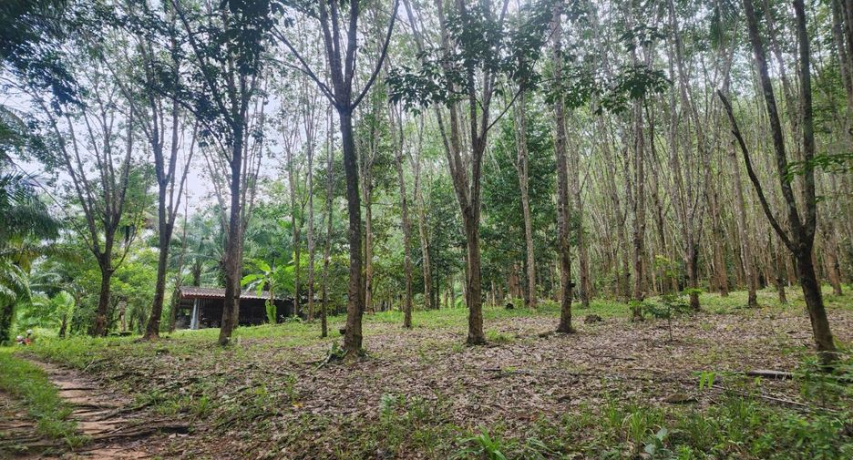 For sale land in Mueang Chumphon, Chumphon