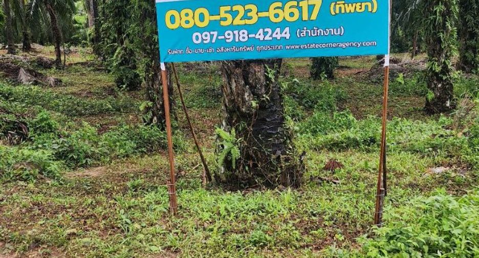 For sale land in Mueang Chumphon, Chumphon
