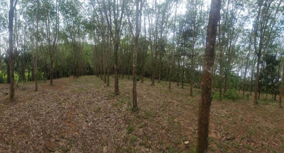 Terreno en venta en Mueang Chumphon, Chumphon