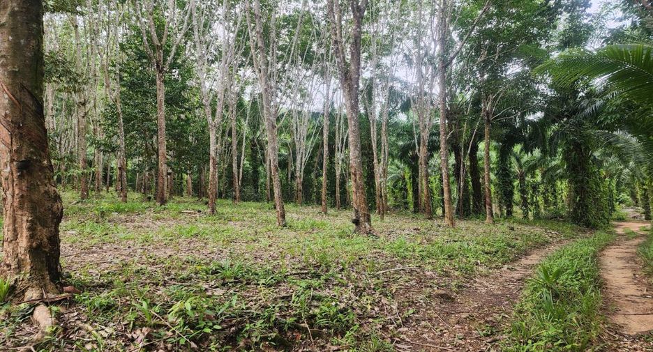 Terreno en venta en Mueang Chumphon, Chumphon