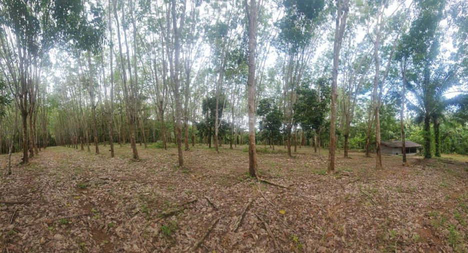 Terreno en venta en Mueang Chumphon, Chumphon