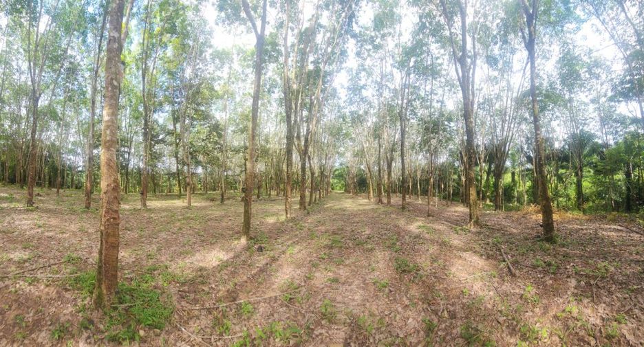 Terreno en venta en Mueang Chumphon, Chumphon