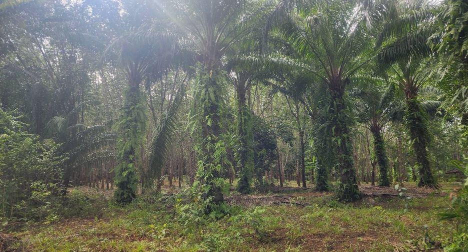 Terreno en venta en Mueang Chumphon, Chumphon