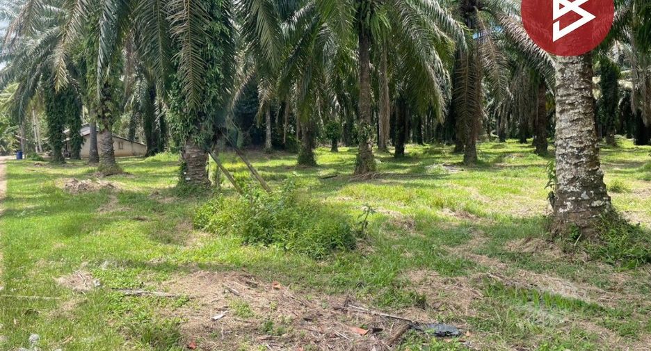 Terreno en venta en Tha Sae, Chumphon