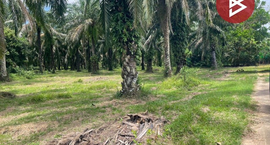 Terreno en venta en Tha Sae, Chumphon