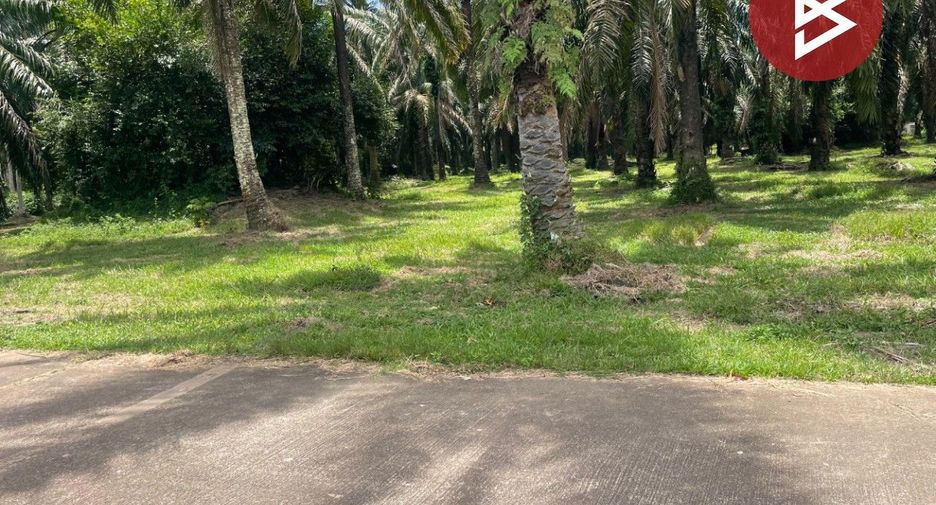 Terreno en venta en Tha Sae, Chumphon