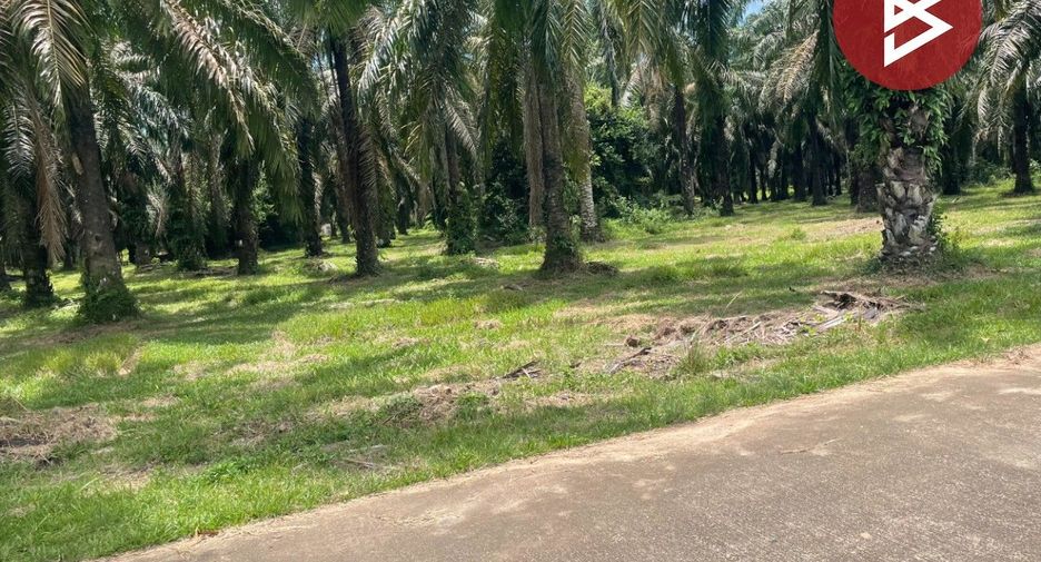 Terreno en venta en Tha Sae, Chumphon