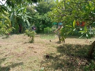 出售 土地 在 U Thong, Suphan Buri