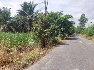 出售 土地 在 Ko Chan, Chon Buri