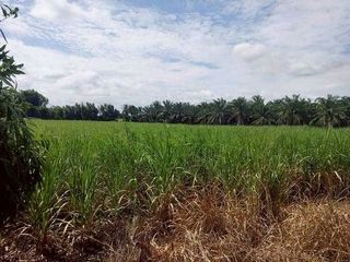 出售 土地 在 Ko Chan, Chon Buri