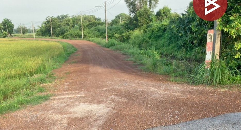 出售 土地 在 Pak Phli, Nakhon Nayok