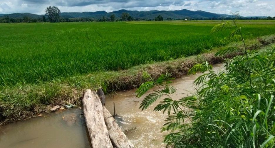 À vendre terrain à Thong Saen Khan, Uttaradit