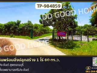 ขาย ที่ดิน ใน ศรีประจันต์, สุพรรณบุรี