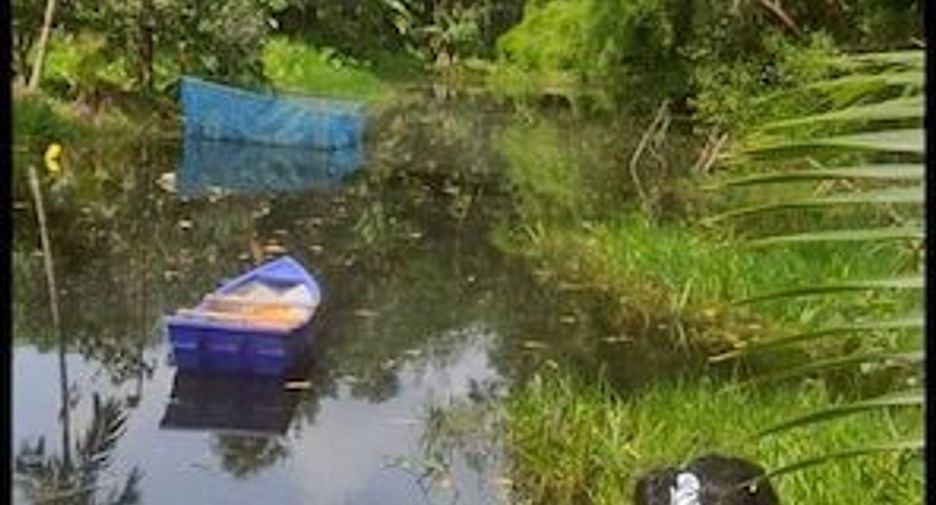 For sale land in Klaeng, Rayong