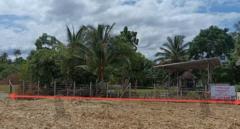 For sale land in Sam Roi Yot, Prachuap Khiri Khan