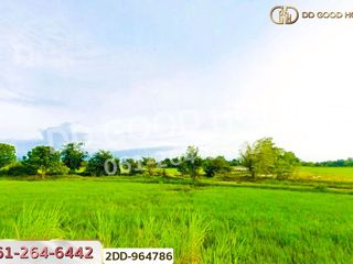 For sale land in Phayuha Khiri, Nakhon Sawan