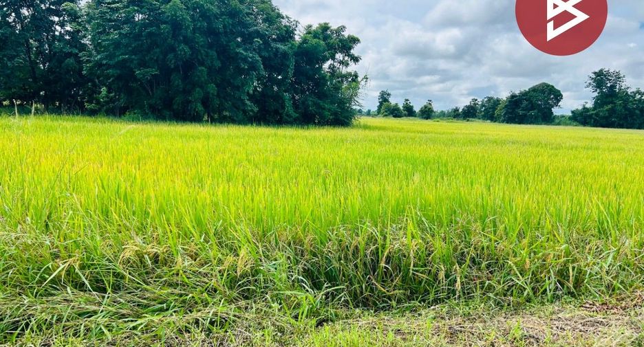 For sale land in Thap Than, Uthai Thani