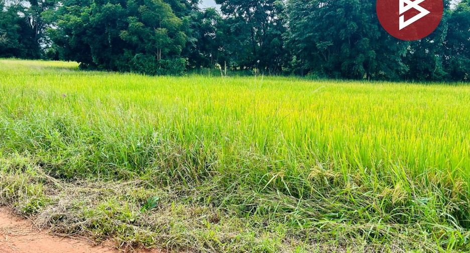 For sale land in Thap Than, Uthai Thani
