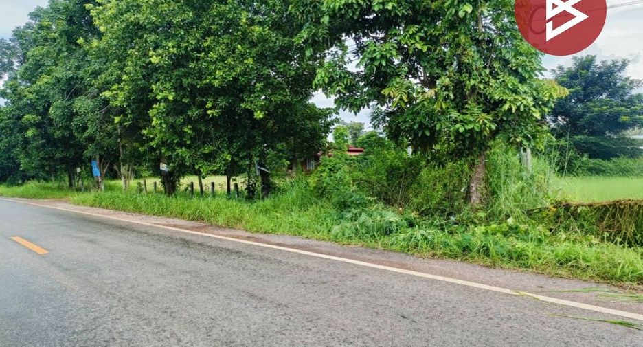 For sale land in Yang Talat, Kalasin