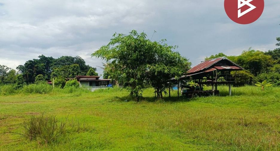 For sale land in Yang Talat, Kalasin