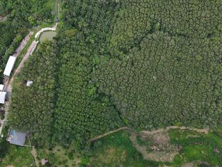 Продажа Участок в Муанг Краби, Краби