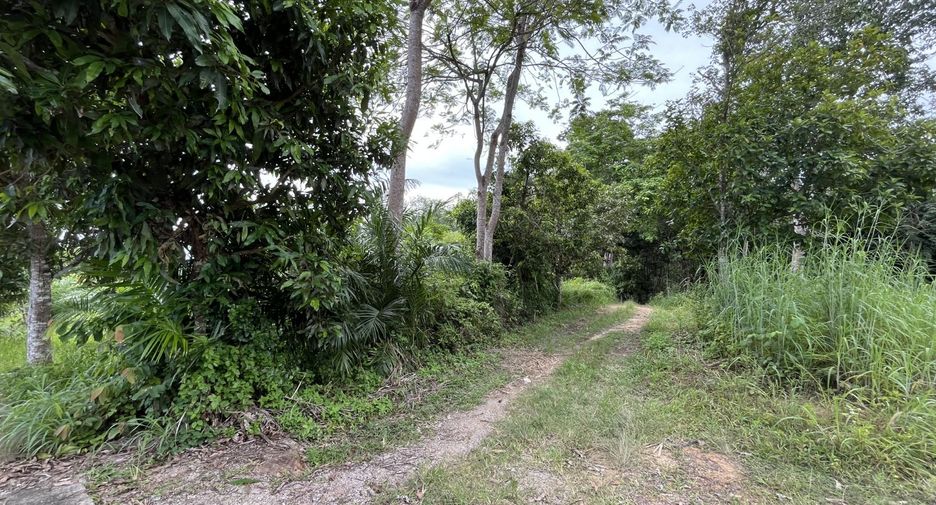 For sale land in Mueang Krabi, Krabi