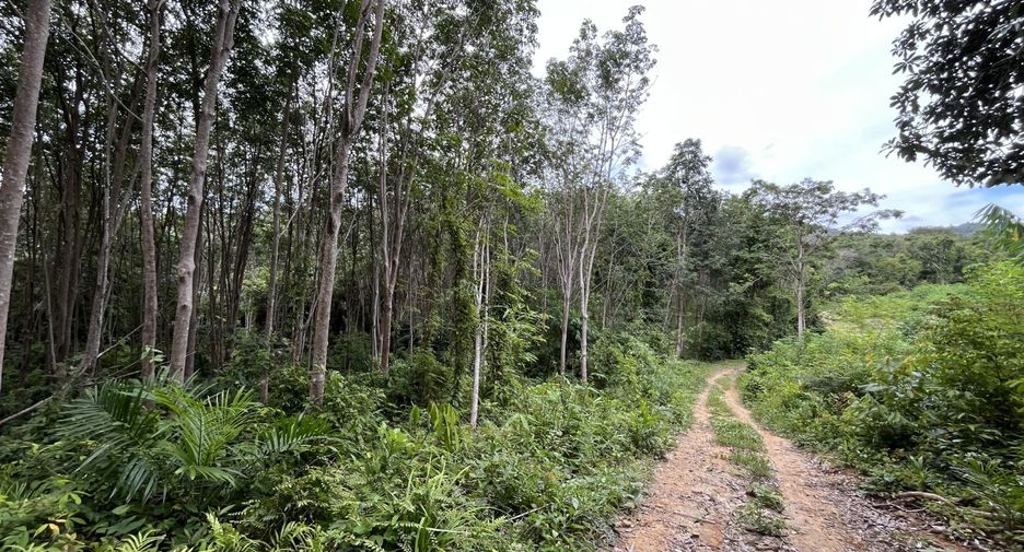 For sale land in Mueang Krabi, Krabi
