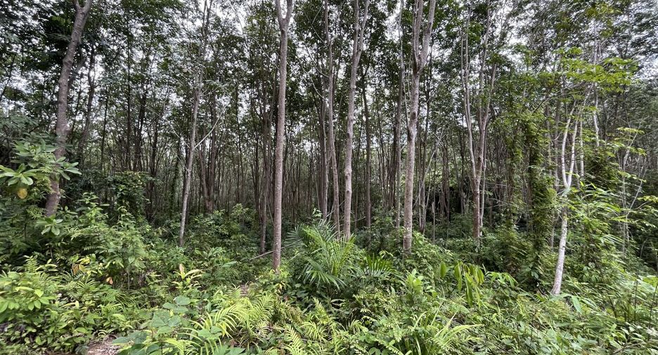 For sale land in Mueang Krabi, Krabi