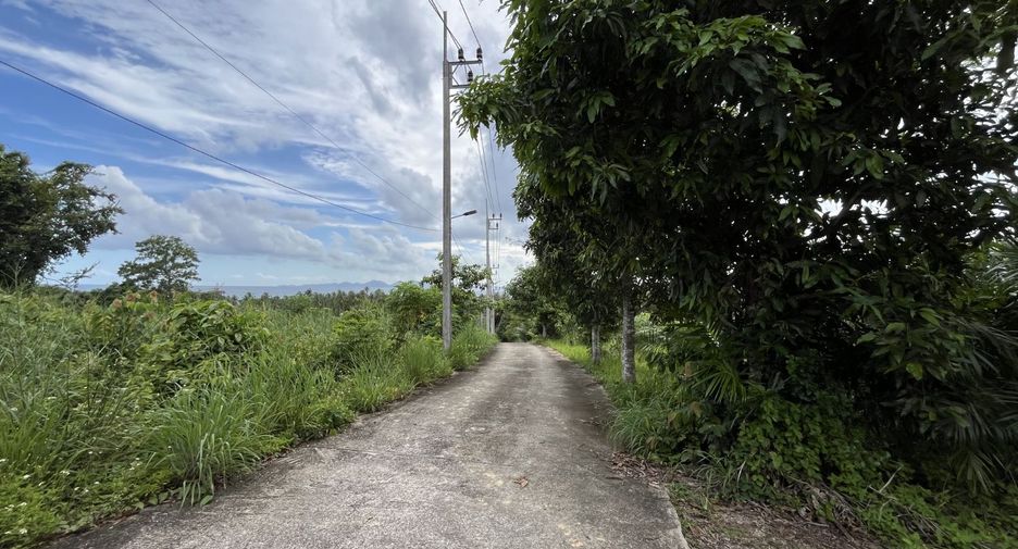 For sale land in Mueang Krabi, Krabi