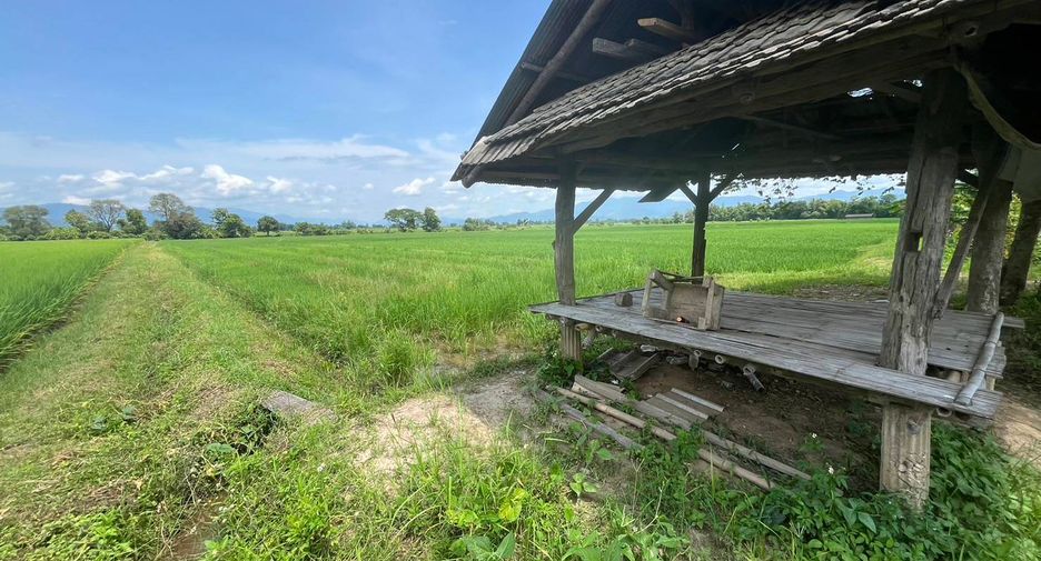 Grundstück zum Kauf in Mae Ai, Chiang Mai