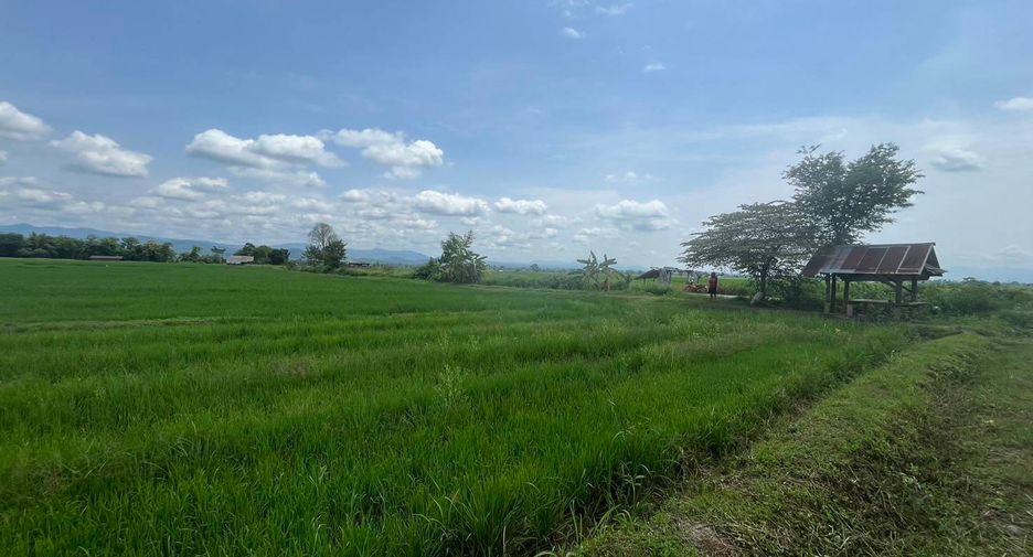 Grundstück zum Kauf in Mae Ai, Chiang Mai
