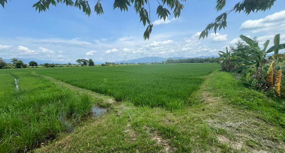 Grundstück zum Kauf in Mae Ai, Chiang Mai