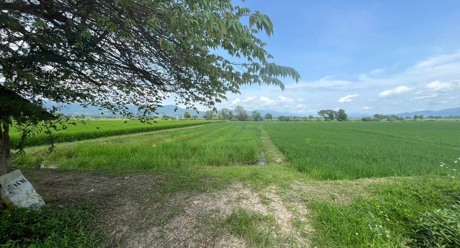 Grundstück zum Kauf in Mae Ai, Chiang Mai