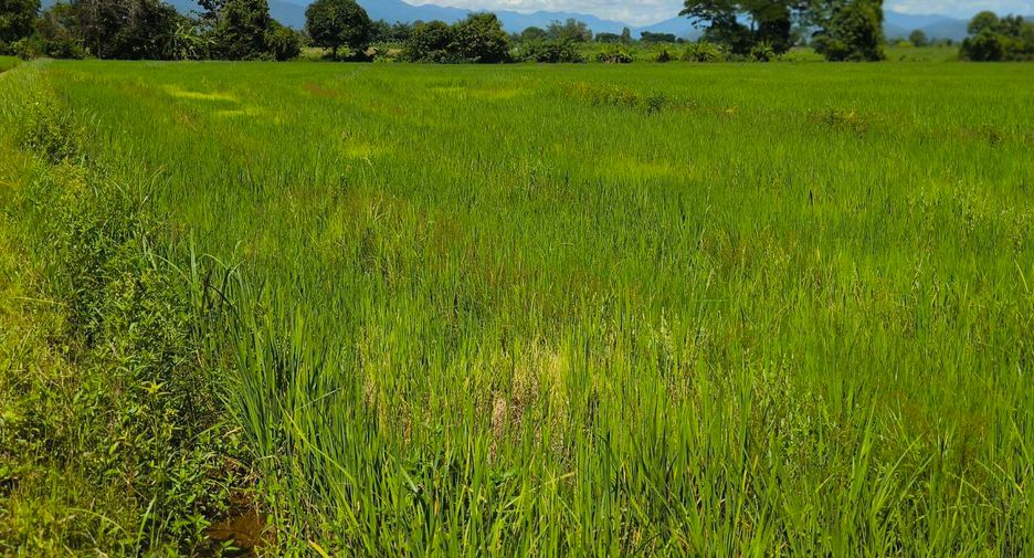 Grundstück zum Kauf in Mae Ai, Chiang Mai