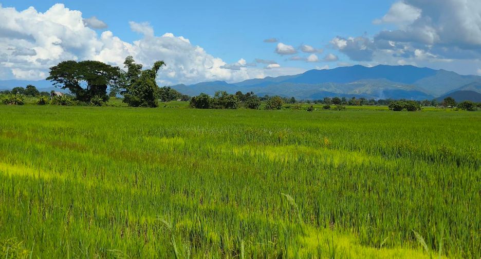 Grundstück zum Kauf in Mae Ai, Chiang Mai