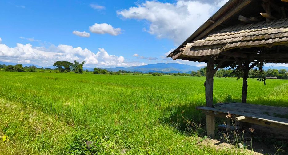 Grundstück zum Kauf in Mae Ai, Chiang Mai