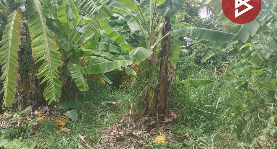 For sale land in Saphan Sung, Bangkok