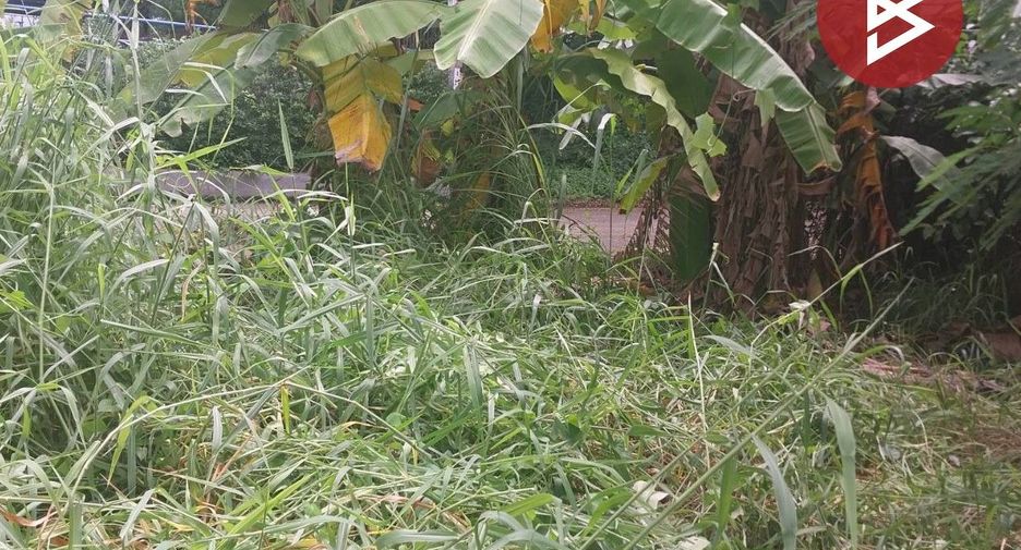 For sale land in Saphan Sung, Bangkok