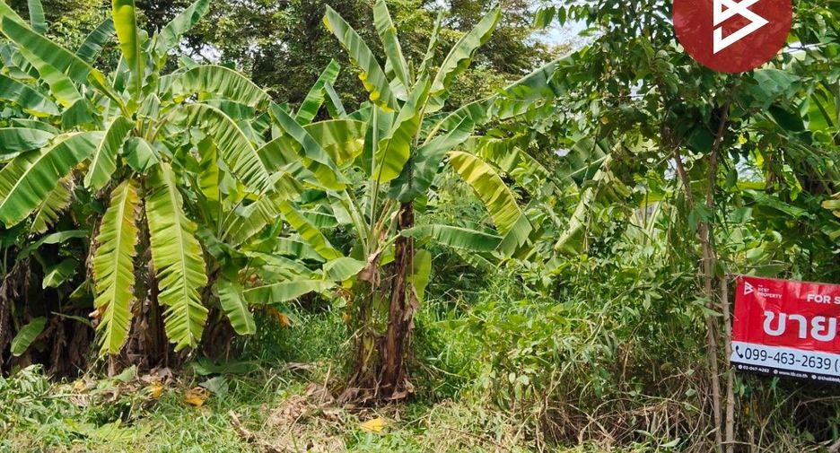 For sale land in Saphan Sung, Bangkok