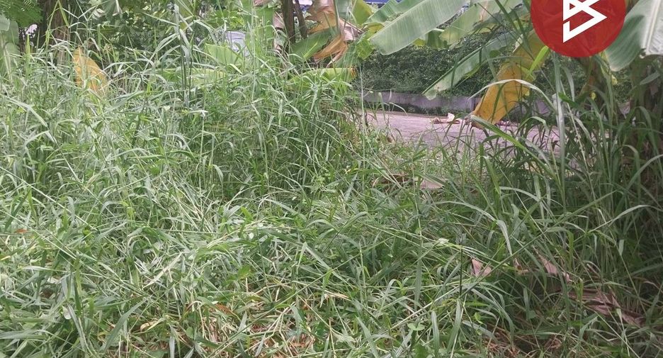 For sale land in Saphan Sung, Bangkok