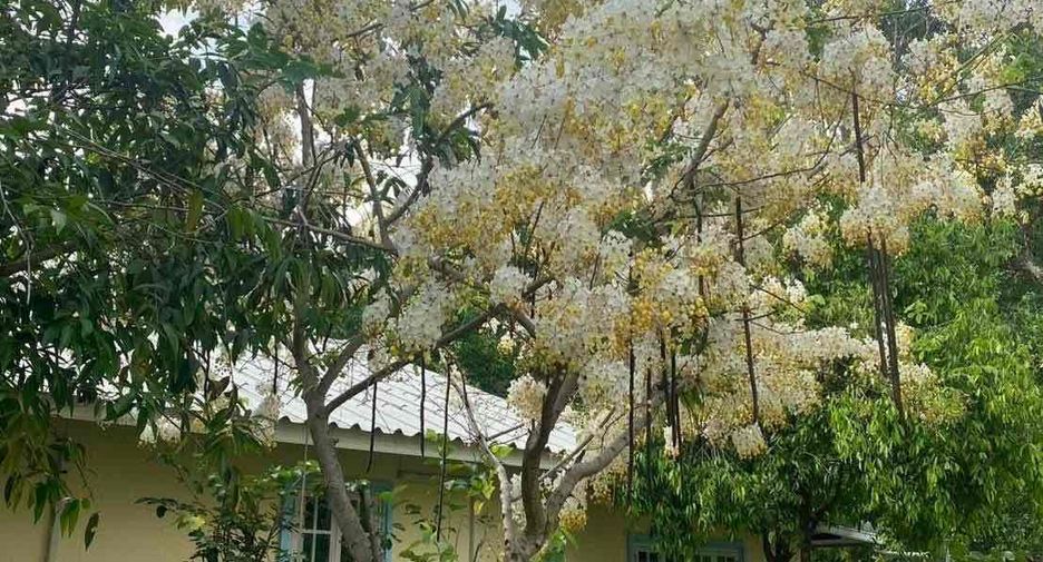 For sale 3 bedrooms villa in Ongkharak, Nakhon Nayok