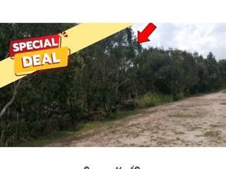 For sale land in Hua Sai, Nakhon Si Thammarat