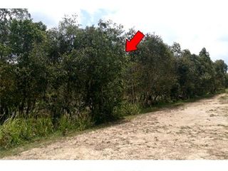 For sale land in Hua Sai, Nakhon Si Thammarat