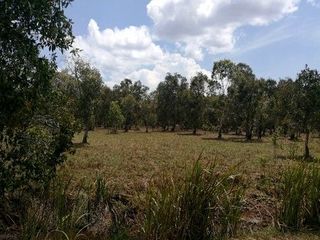 For sale land in Hua Sai, Nakhon Si Thammarat