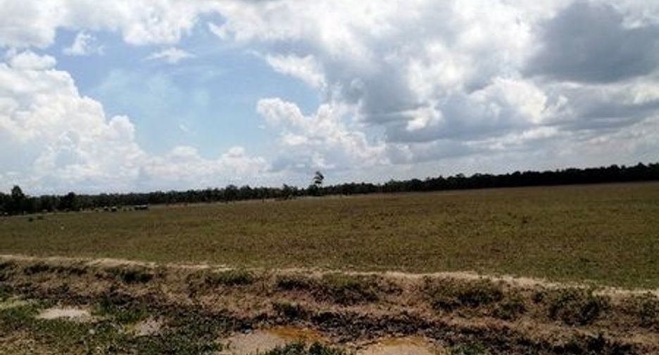 Terreno en venta en Hua Sai, Nakhon Si Thammarat