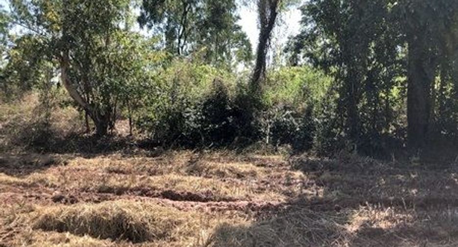 出售 土地 在 Sida, Nakhon Ratchasima