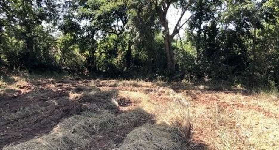 出售 土地 在 Sida, Nakhon Ratchasima