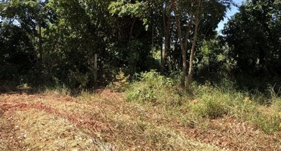 出售 土地 在 Sida, Nakhon Ratchasima