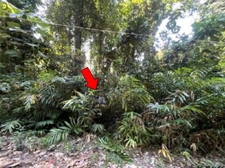 Terreno en venta en Khao Khitchakut, Chanthaburi