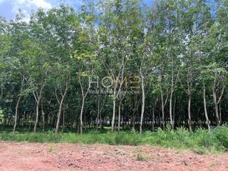 À vendre terrain à Phanat Nikhom, Chonburi